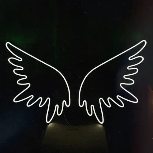 SkrzydЕ‚a AnioЕ‚a - Neon LED